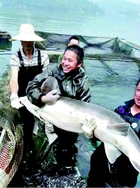 湖北長(zhǎng)陽2400萬斤清江魚愁銷路 福中小6水產(chǎn)網(wǎng)急援手 title=